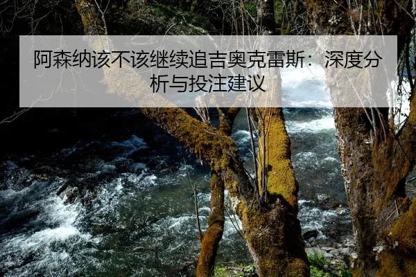 阿森纳该不该继续追吉奥克雷斯：深度分析与投注建议